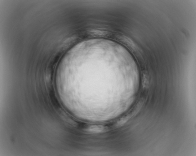 X0000113370377200910131326
