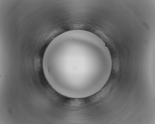 X0000113370378200910131326