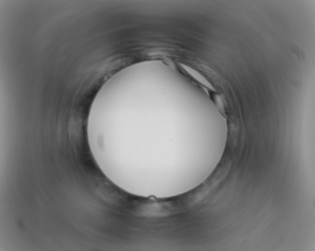 X0000113370379200910131326