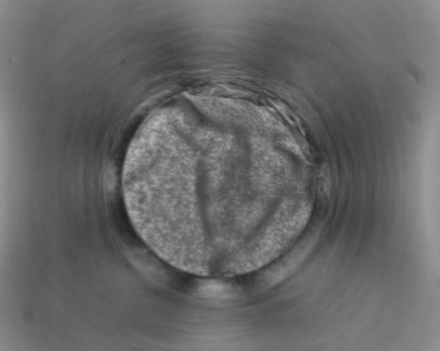 X0000113370380200910131326
