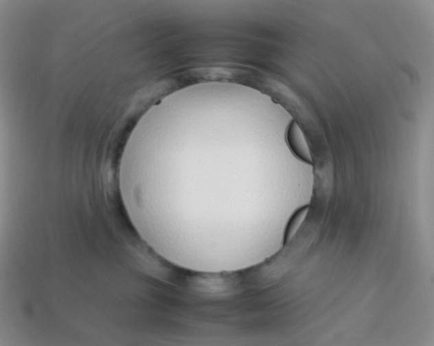 X0000113370381200910131326