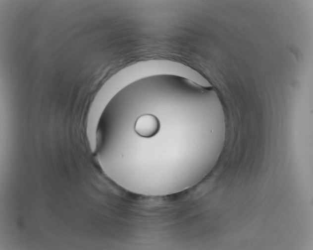 X0000113370384200910131326