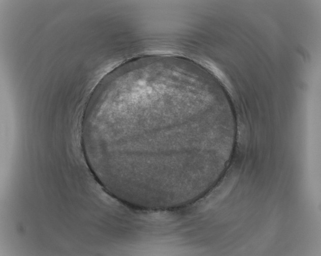 X0000113370385200910131325