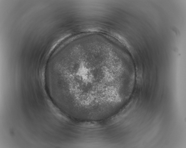 X0000113370386200910131325