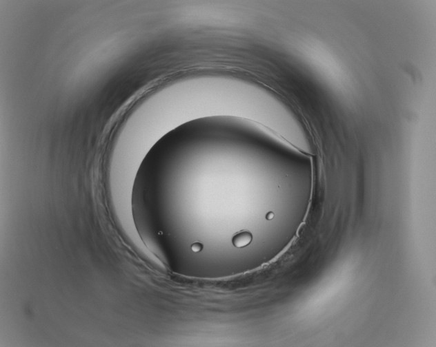 X0000113370387200910131325