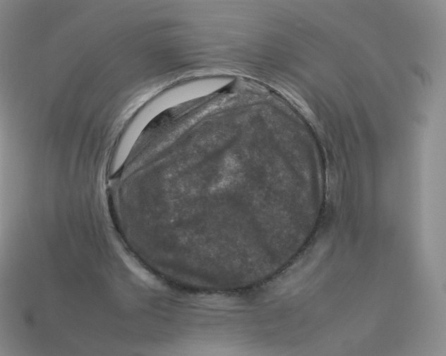 X0000113370389200910131325