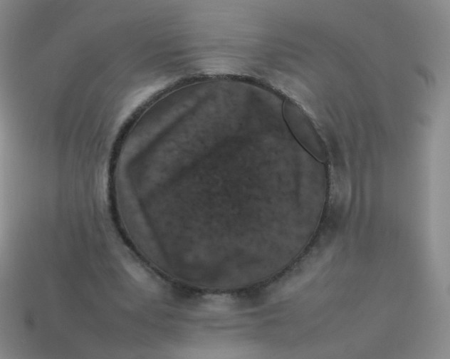 X0000113370391200910131325