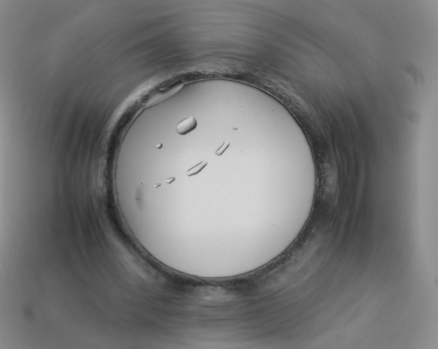 X0000113370392200910131325