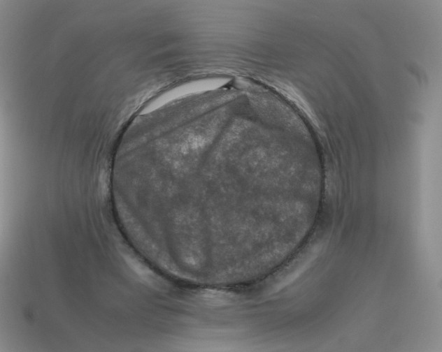 X0000113370393200910131325