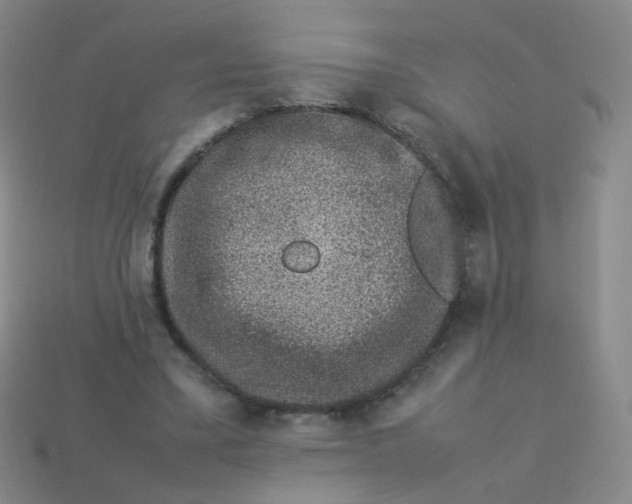 X0000113370395200910131325