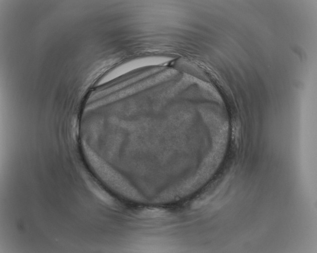 X0000113370397200910131325