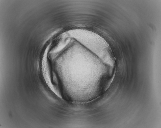 X0000113370398200910131325