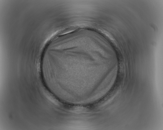 X0000113370399200910131325
