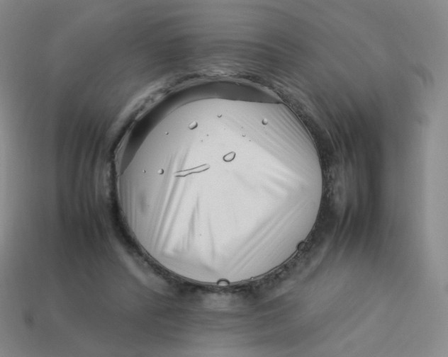 X0000113370400200910131325