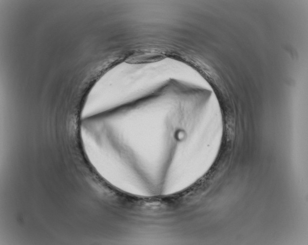 X0000113370401200910131325