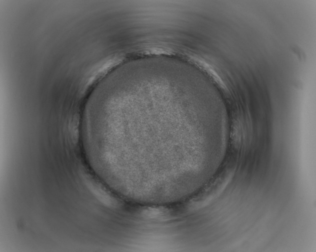 X0000113370402200910131325