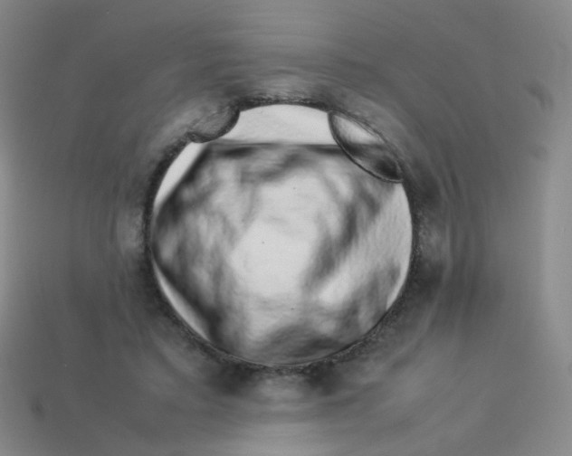 X0000113370403200910131325
