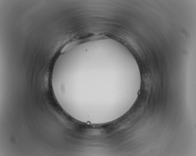 X0000113370404200910131325