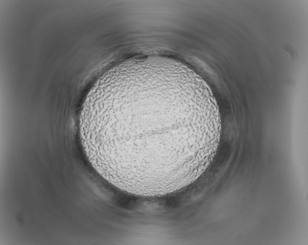X0000113370405200910131325