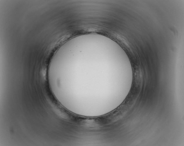 X0000113370406200910131325