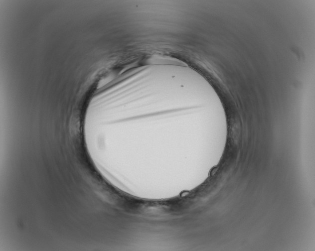 X0000113370407200910131325