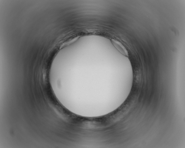 X0000113370408200910131325