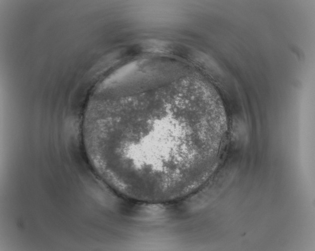 X0000113370409200910131325