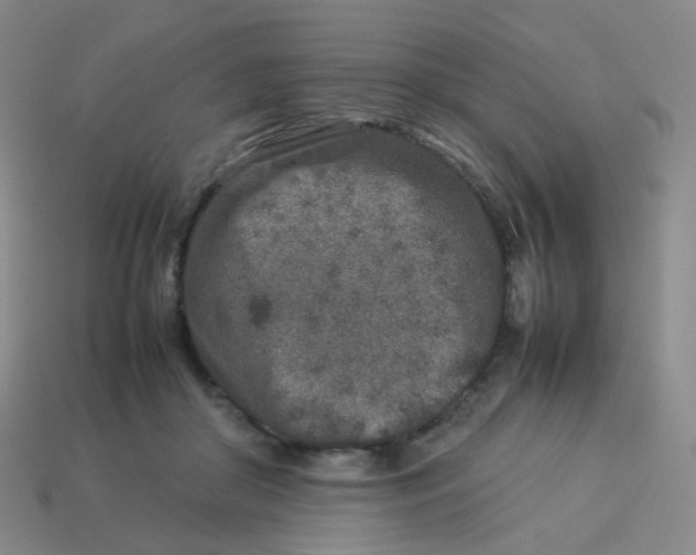 X0000113370410200910131325