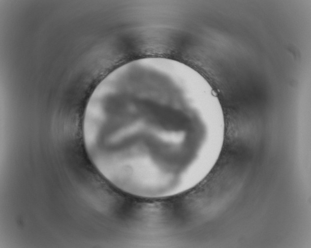 X0000113370411200910131325