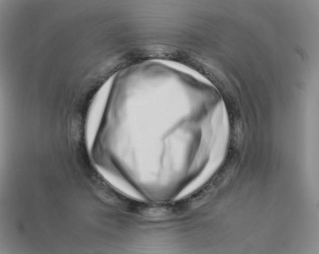 X0000113370413200910131325