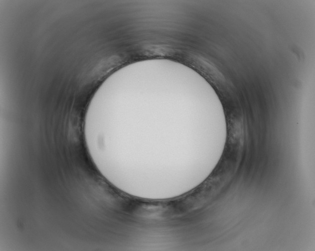 X0000113370414200910131325