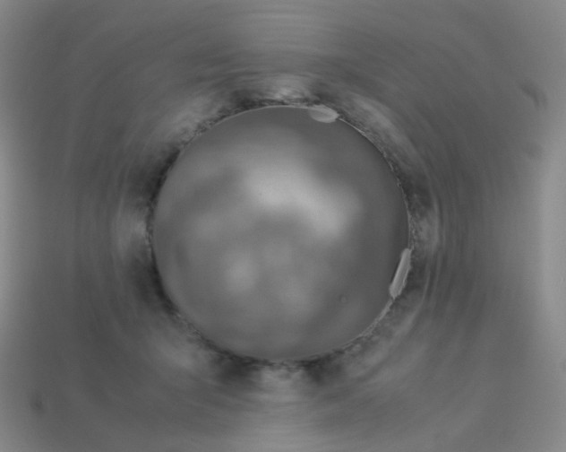 X0000113370415200910131325