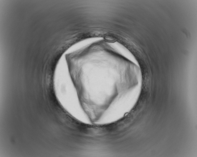X0000113370417200910131325