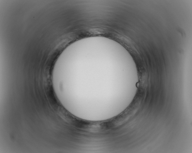 X0000113370418200910131325