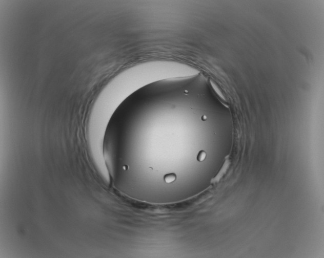 X0000113370419200910131325