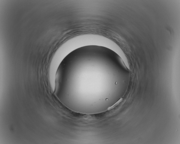 X0000113370421200910131325