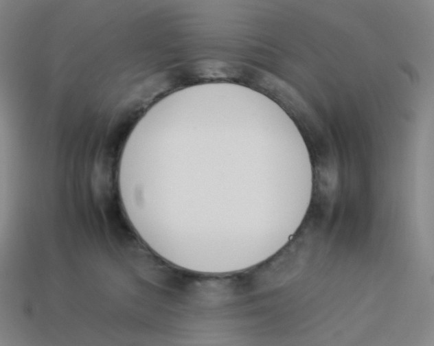 X0000113370422200910131325