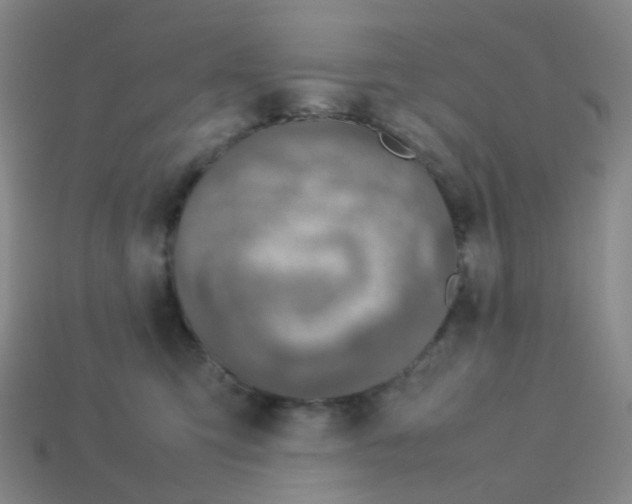 X0000113370423200910131325