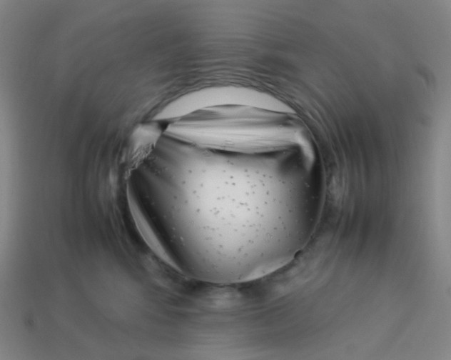 X0000113370424200910131325