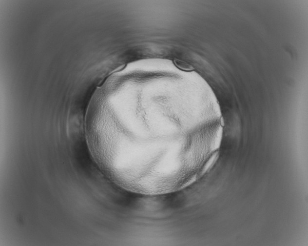 X0000113370425200910131325