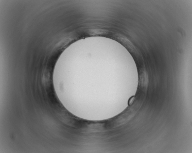 X0000113370426200910131325