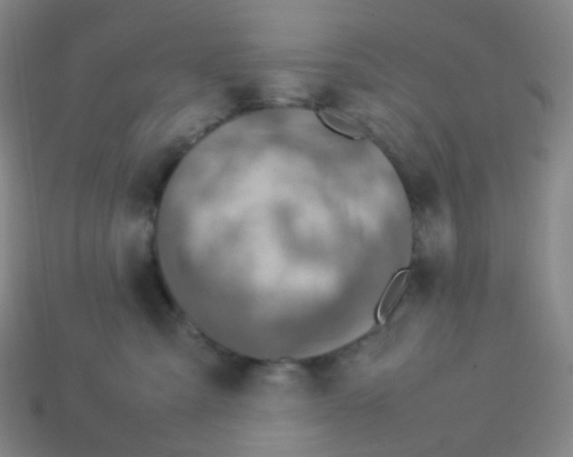 X0000113370427200910131324
