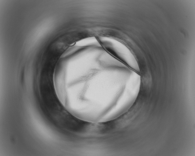 X0000113370429200910131324