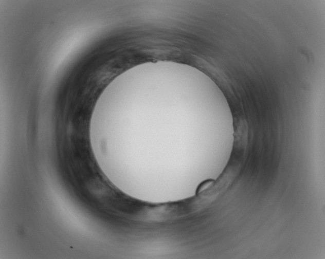 X0000113370430200910131324