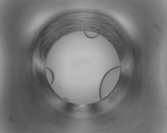 X0000113370431200910131324