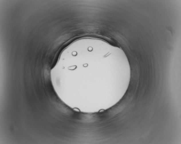 X0000113370432200910131324