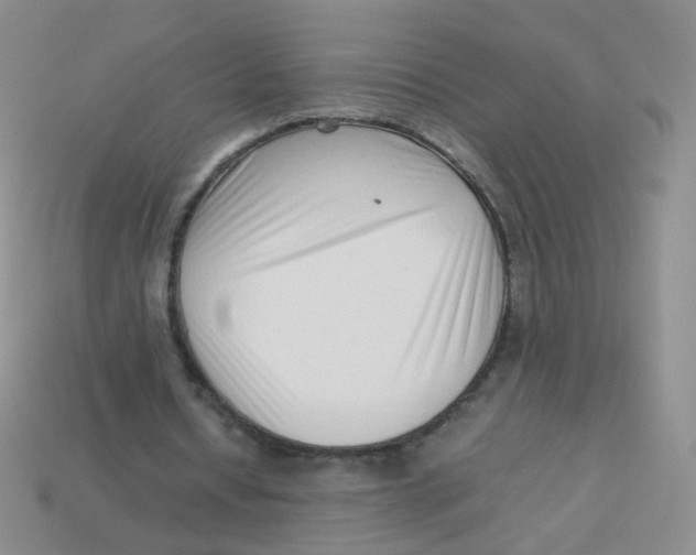 X0000113370434200910131324