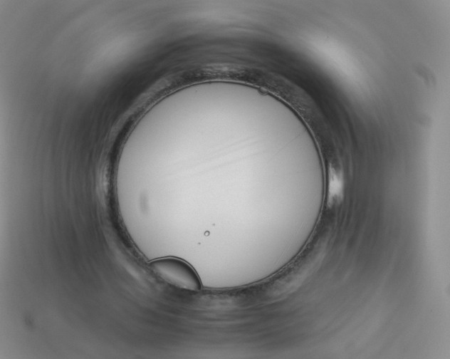 X0000113370435200910131324