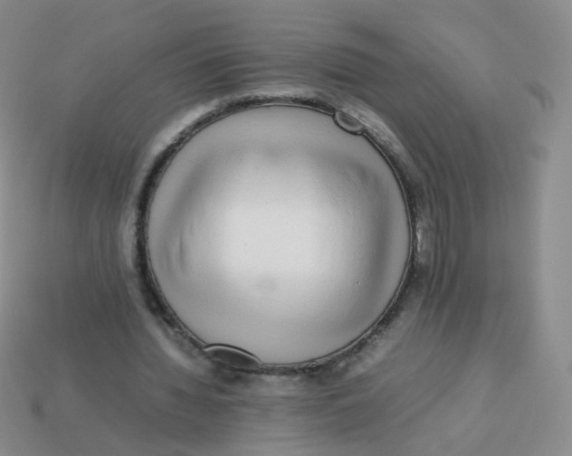 X0000113370436200910131324