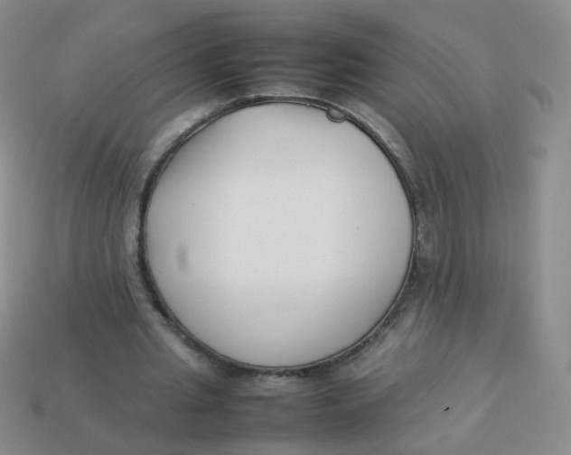 X0000113370437200910131324